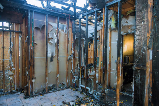 Professional Fire Damage Removal technician working in Hansen, ID